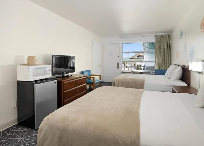 Eden Roc Hotel